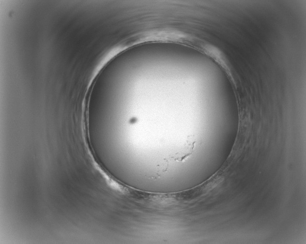 X0000081571103200701221046