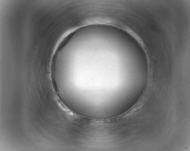 X0000081571104200701221046