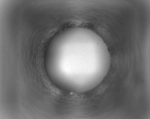 X0000081571105200701221045