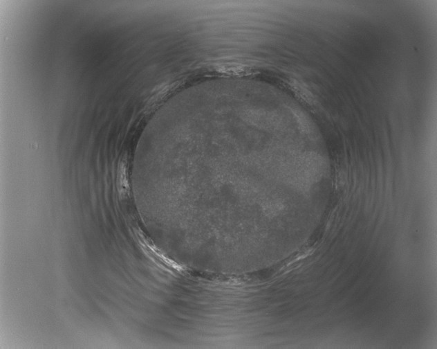 X0000081571106200701221045