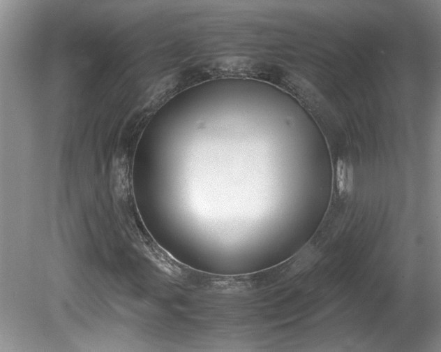 X0000081571107200701221045