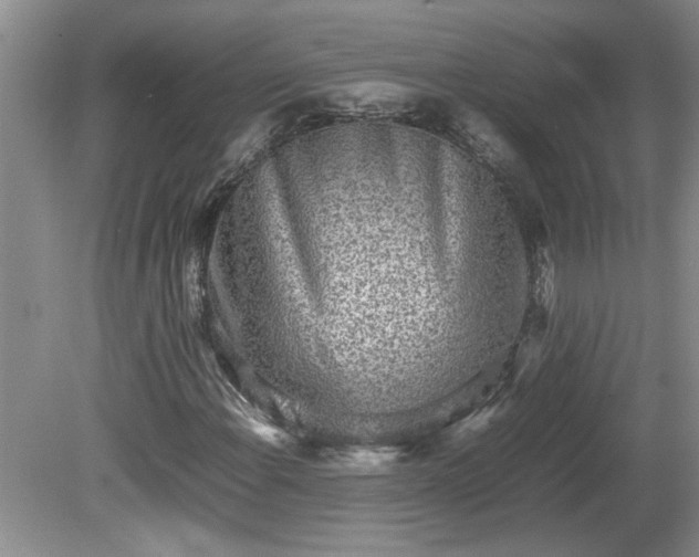 X0000081571108200701221045