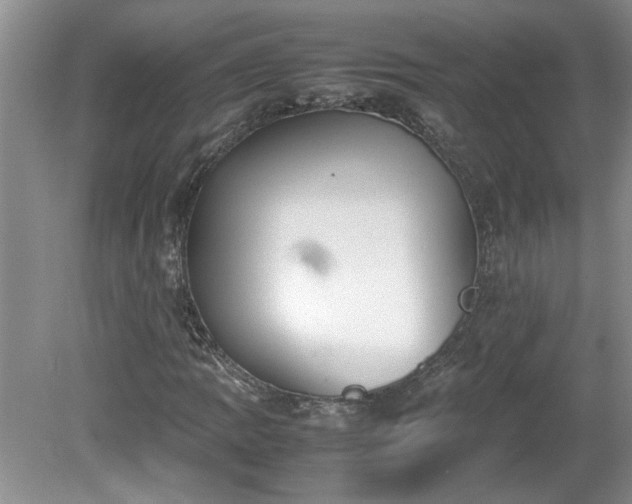 X0000081571109200701221045