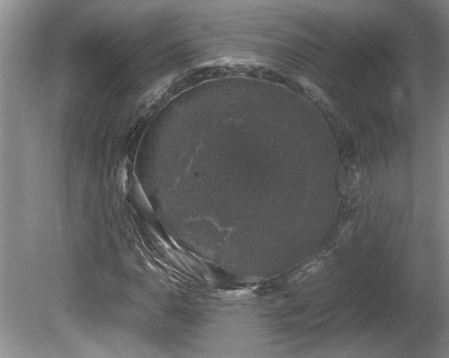 X0000081571110200701221045