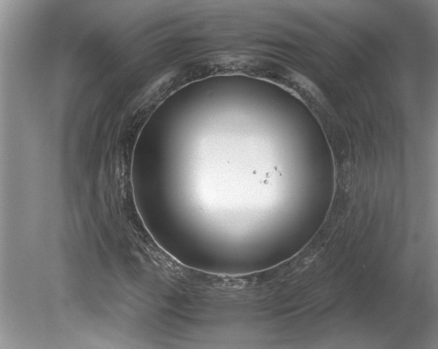 X0000081571111200701221045