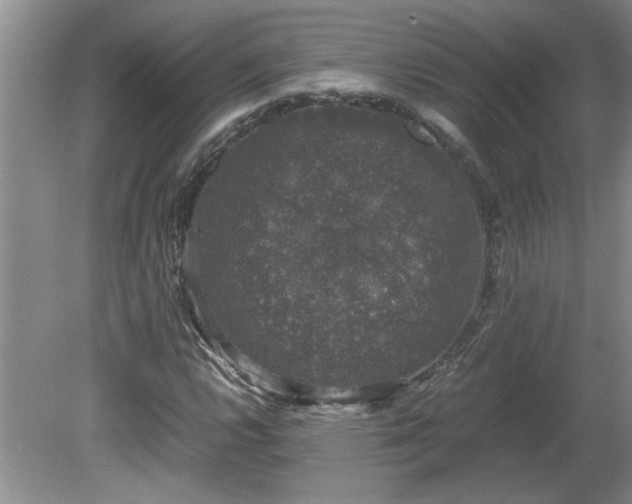 X0000081571112200701221045