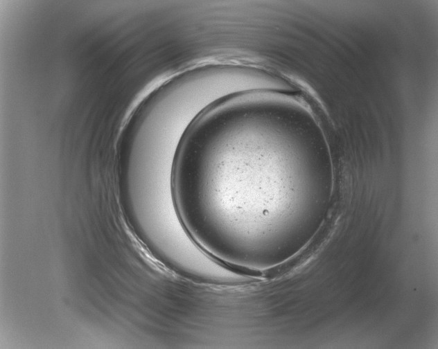 X0000081571114200701221045