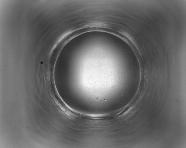 X0000081571115200701221045