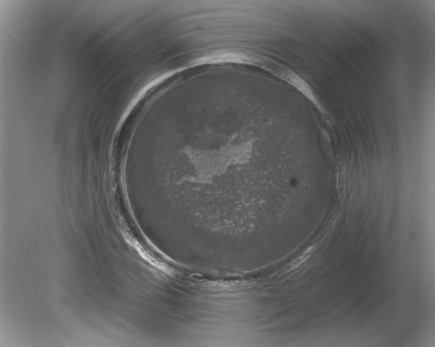 X0000081571116200701221045