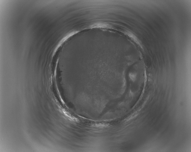 X0000081571117200701221046