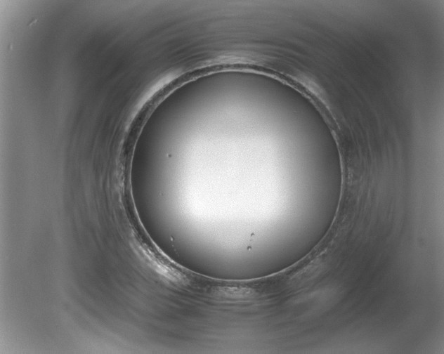 X0000081571119200701221046