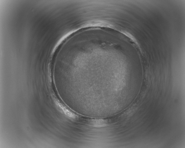 X0000081571120200701221046