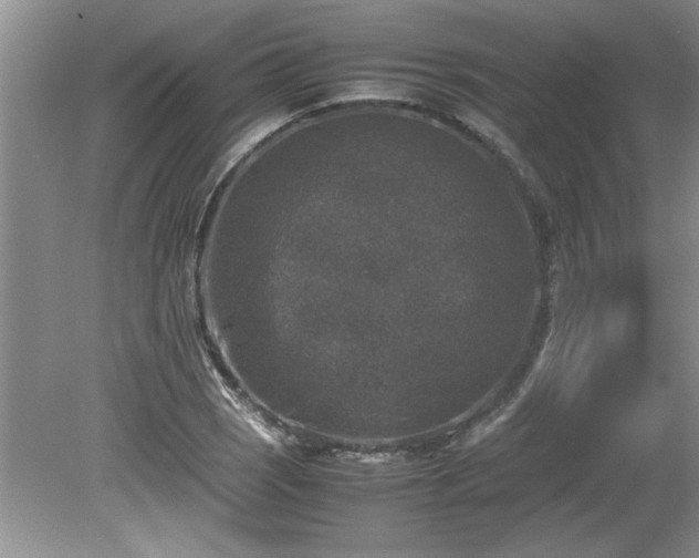 X0000081571121200701221046