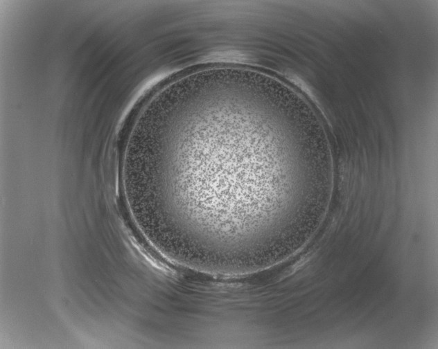 X0000081571123200701221046