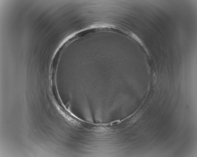 X0000081571124200701221046