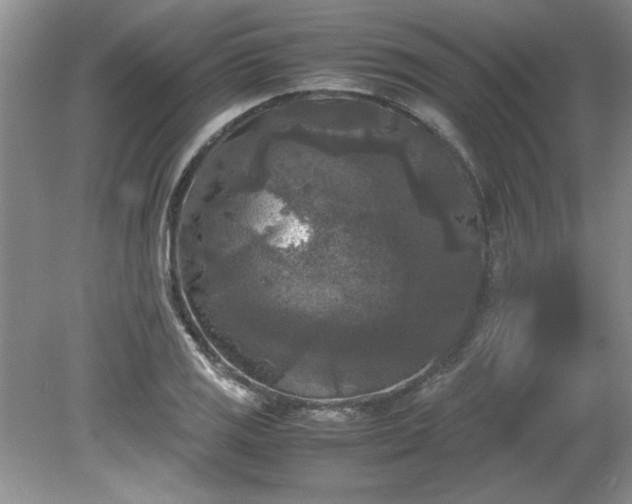 X0000081571125200701221046