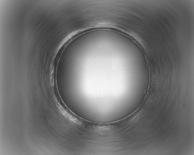 X0000081571126200701221046