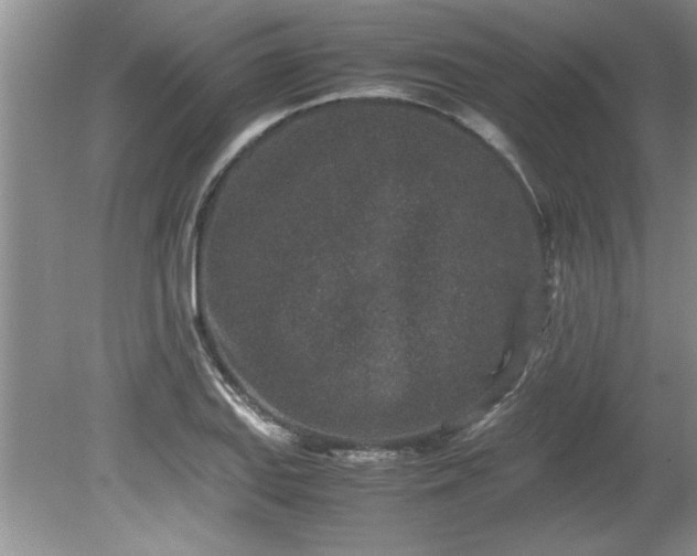 X0000081571127200701221046