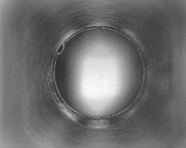 X0000081571129200701221046