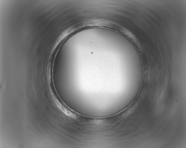 X0000081571130200701221046