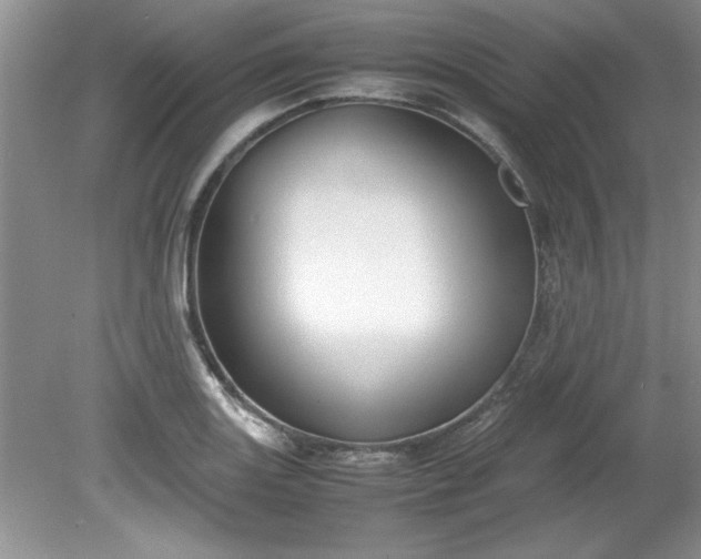 X0000081571131200701221046