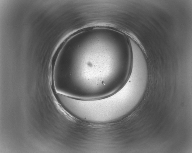 X0000081571132200701221046