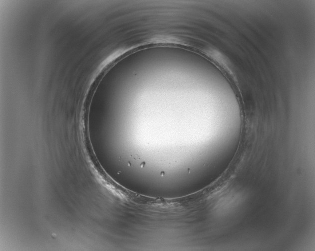 X0000081571133200701221046