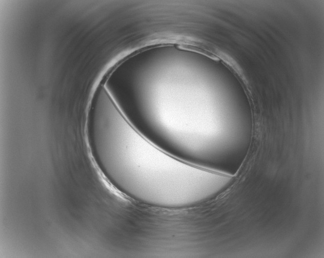 X0000081571136200701221046