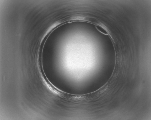 X0000081571139200701221046