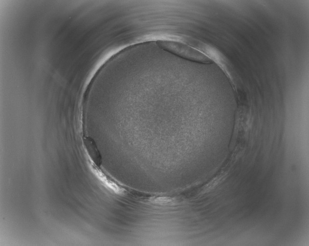 X0000081571140200701221046