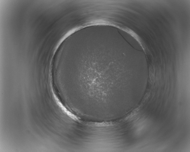 X0000081571142200701221046