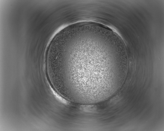 X0000081571143200701221046