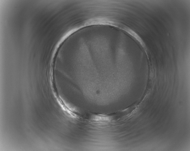 X0000081571144200701221046