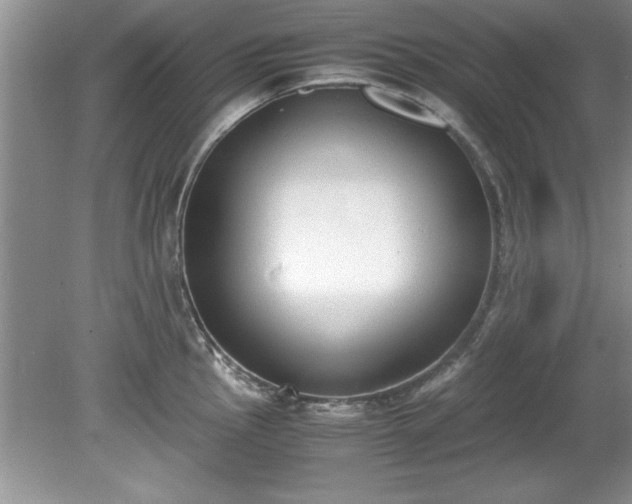 X0000081571145200701221046