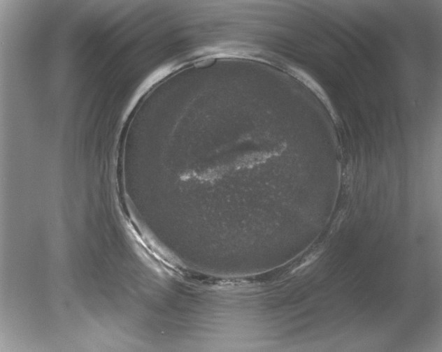 X0000081571146200701221046