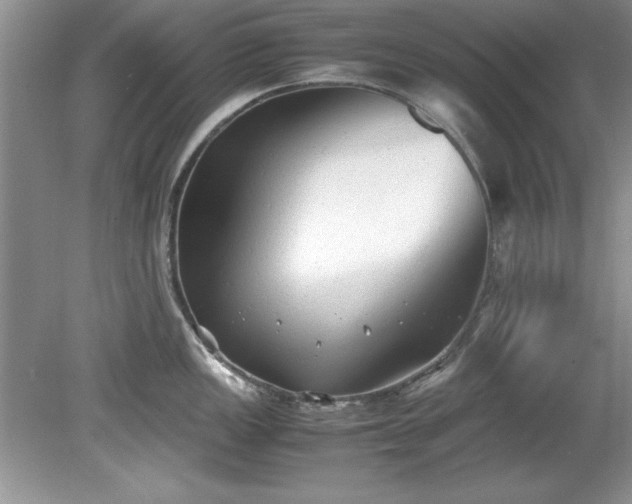 X0000081571149200701221046