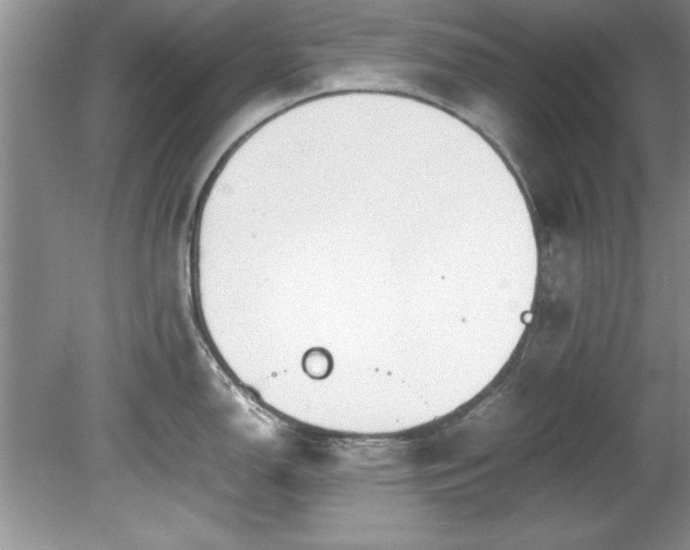 X0000081571150200701221046