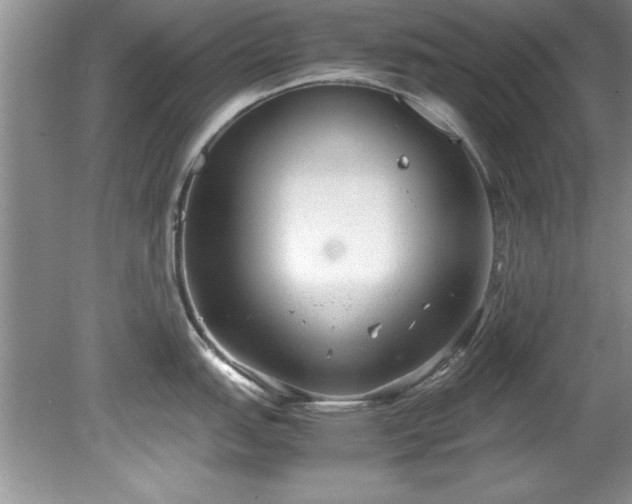 X0000081571151200701221046