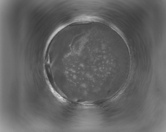 X0000081571152200701221046