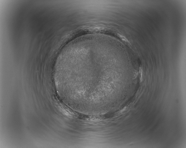 X0000081571153200701221045