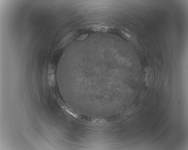 X0000081571154200701221045