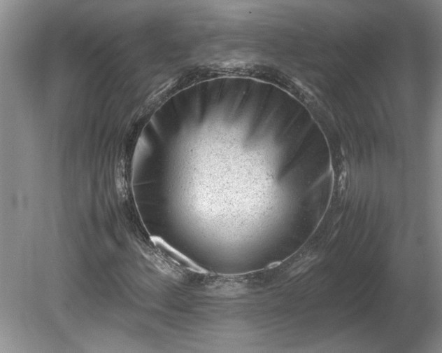 X0000081571156200701221045