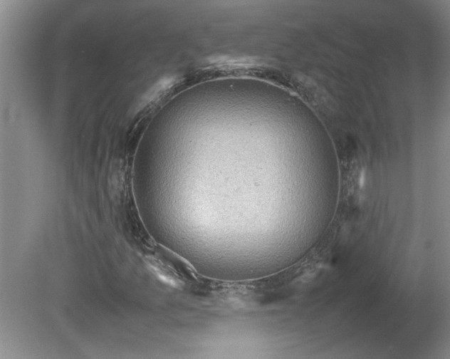 X0000081571157200701221045