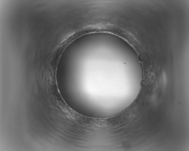 X0000081571158200701221045