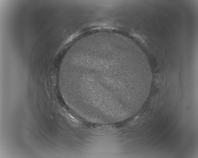 X0000081571159200701221045