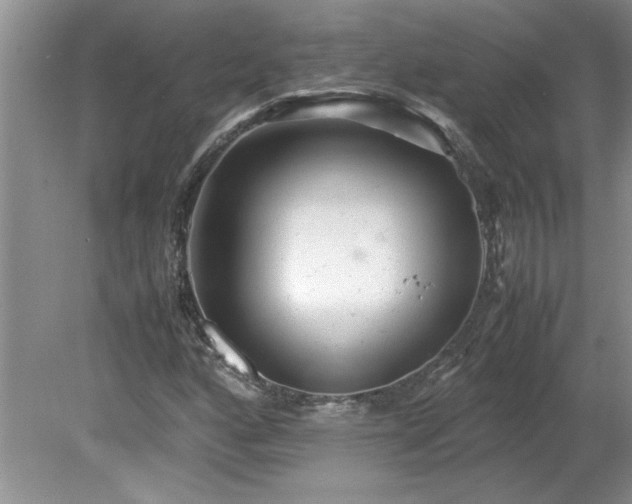 X0000081571160200701221045