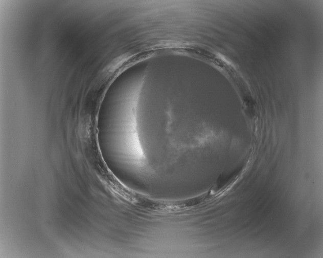 X0000081571161200701221045