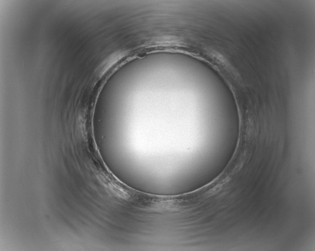 X0000081571162200701221045