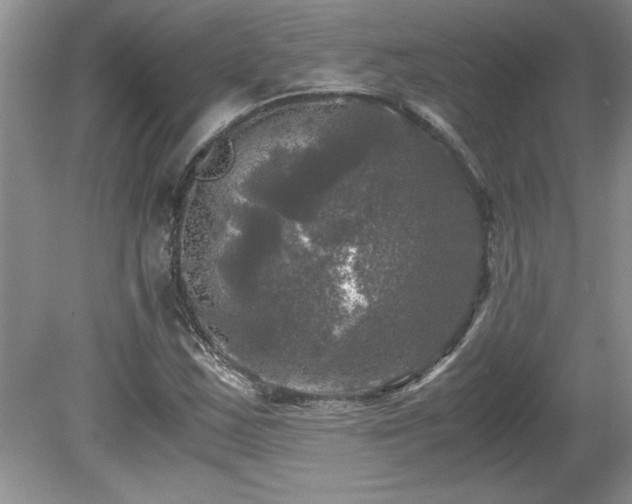 X0000081571163200701221045