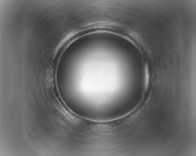 X0000081571164200701221045